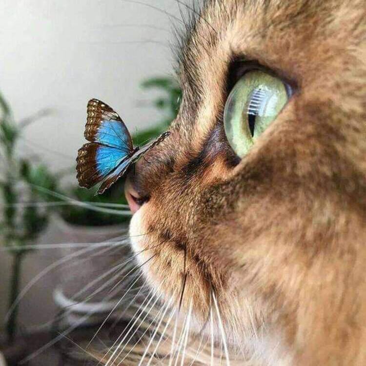 Foto de perfil de Shirly