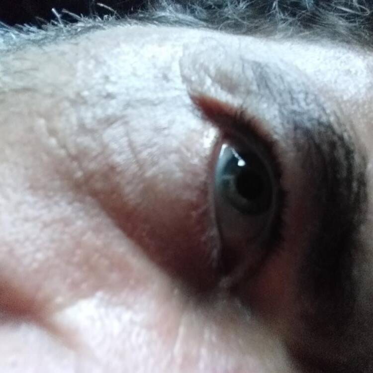 Foto de perfil de KarlosGiron39@gtmail.com