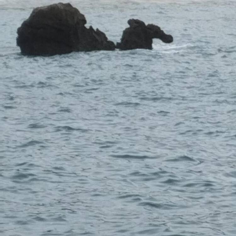 Foto de perfil de Jose
