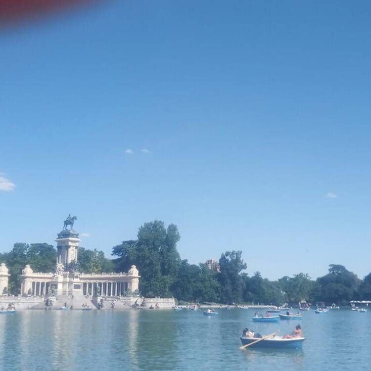 Foto de perfil de patricia