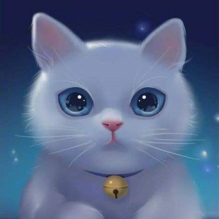 Foto de perfil de Sonia