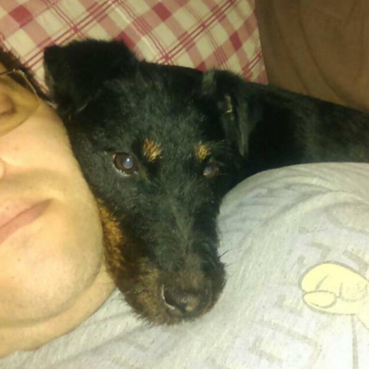 Foto de perfil de Alessn10