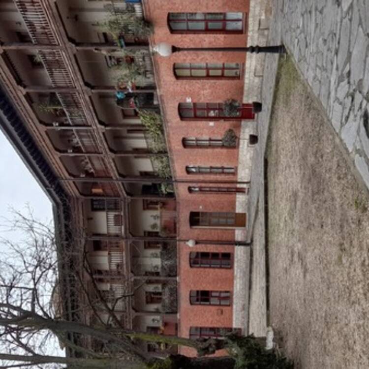 Foto de perfil de Bárbara
