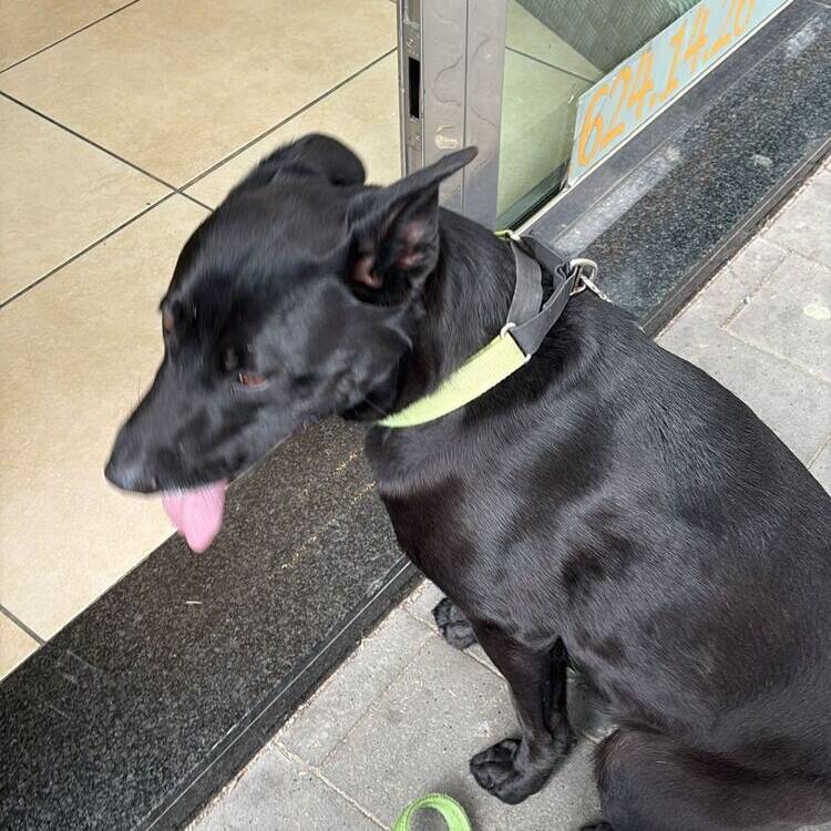 Foto de perfil de Jesús