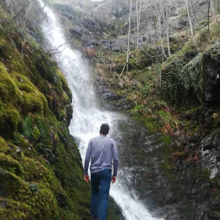 Foto de perfil de David