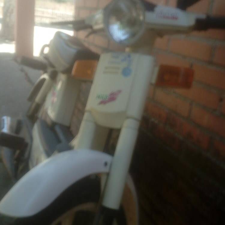 Foto de perfil de Adrian