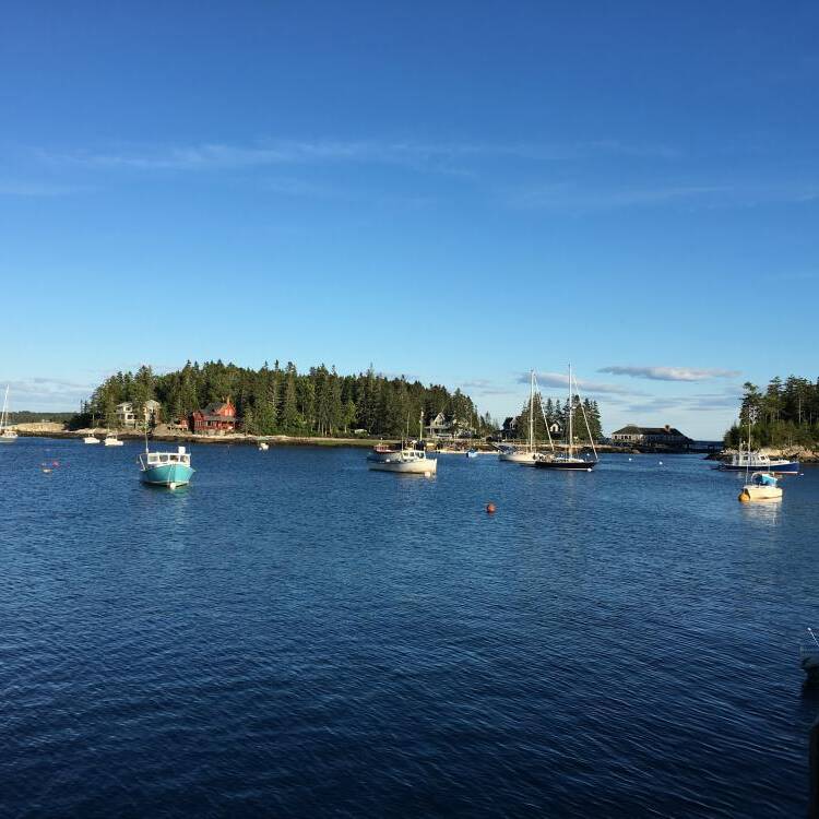 Foto de perfil de LuTejo
