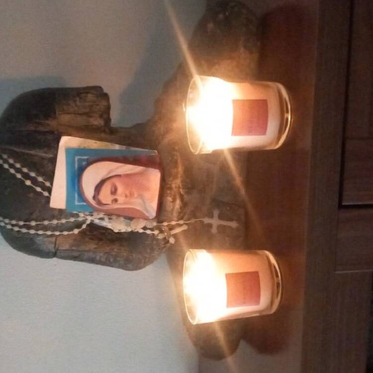 Foto de perfil de Guillermo