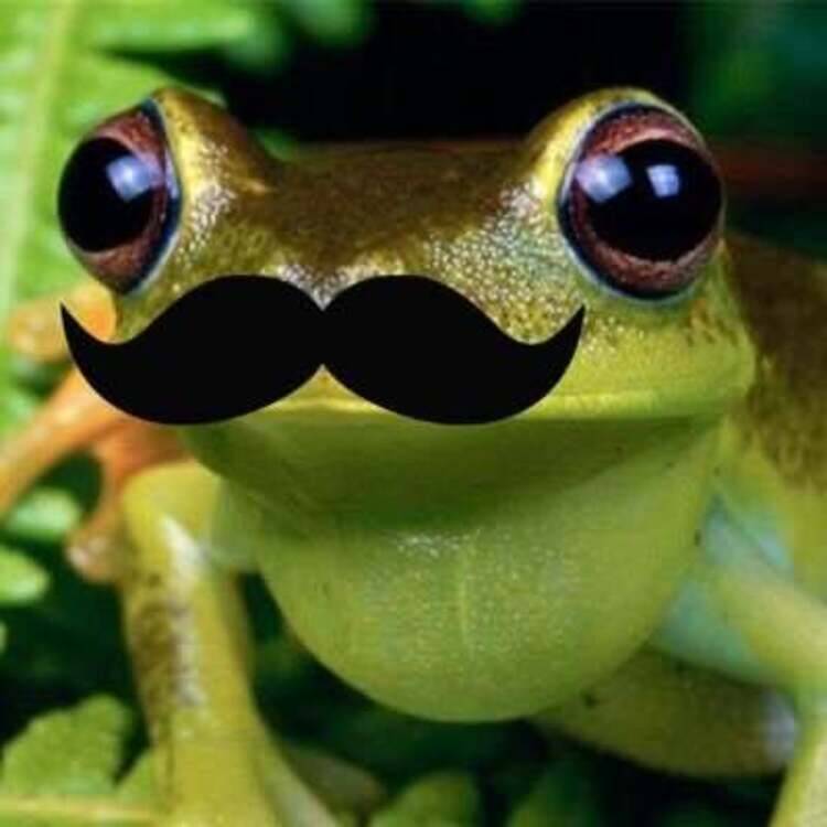 Foto de perfil de Kevv