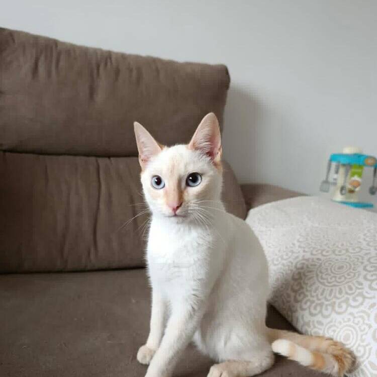Foto de perfil de Paloma