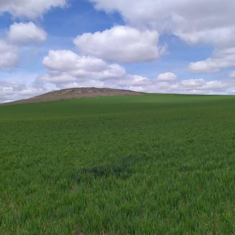 Foto de perfil de Mario