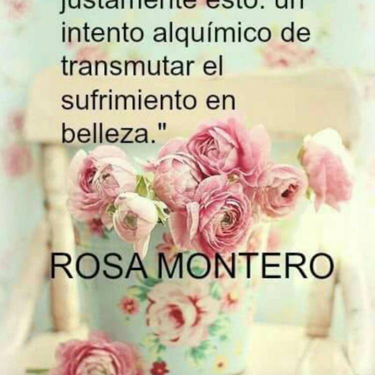 Foto de perfil de Turquesita