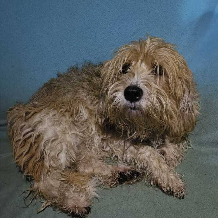 Foto de perfil de Veronica