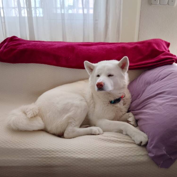 Foto de perfil de Lucia