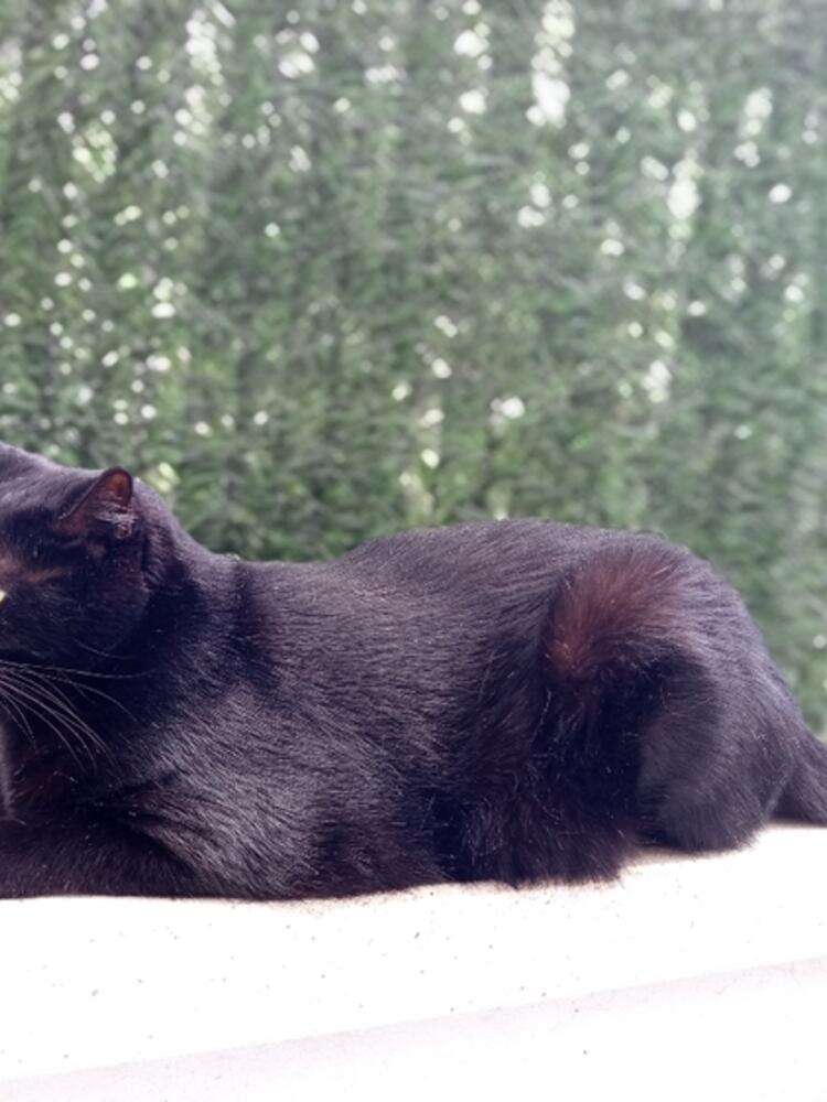 Foto de perfil de Julia