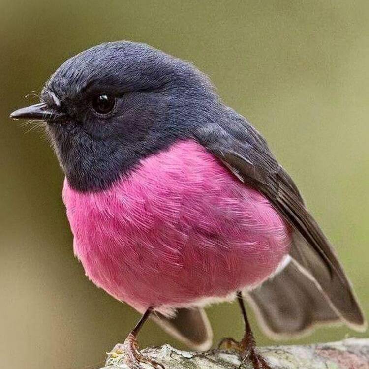 Foto de perfil de Ana