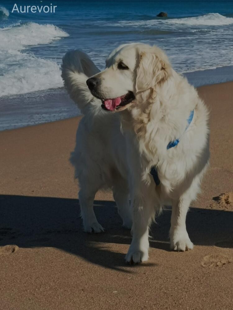 Foto de perfil de Mon
