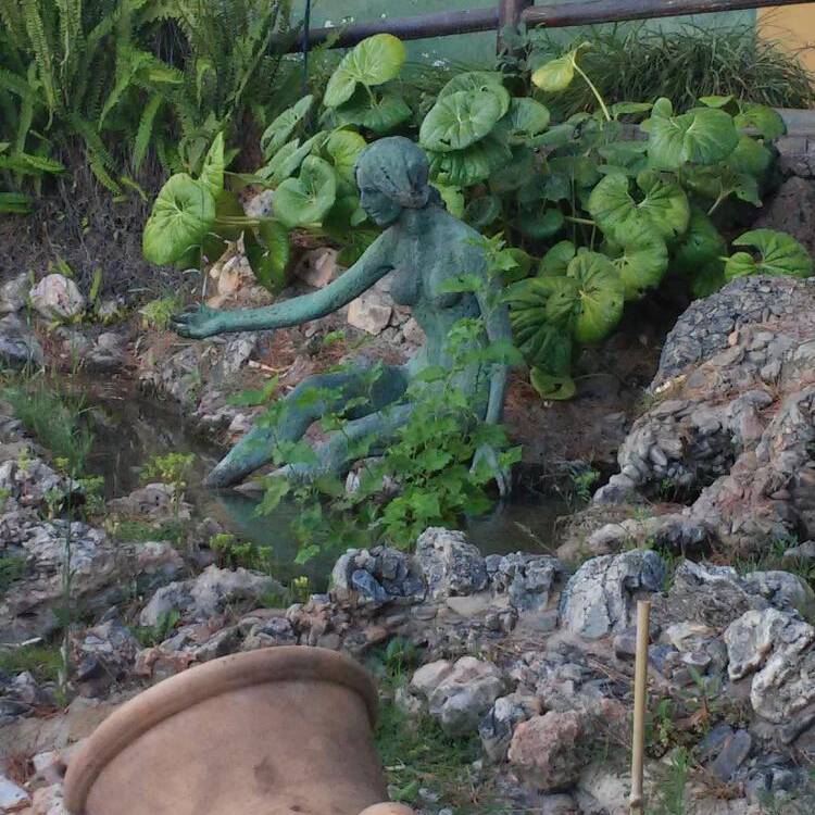 Foto de perfil de Pilar