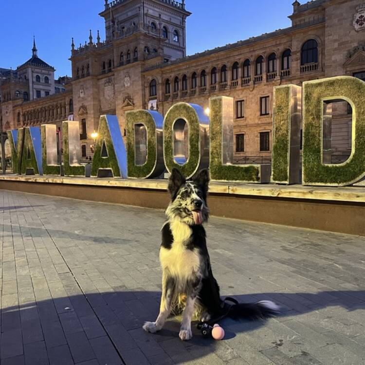Foto de perfil de Manuel