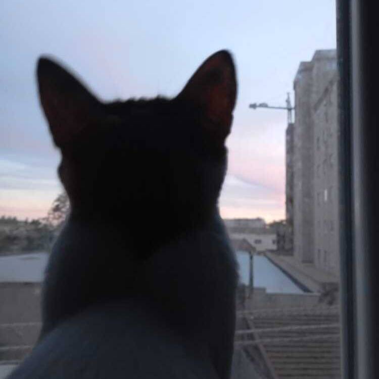 Foto de perfil de rebeca