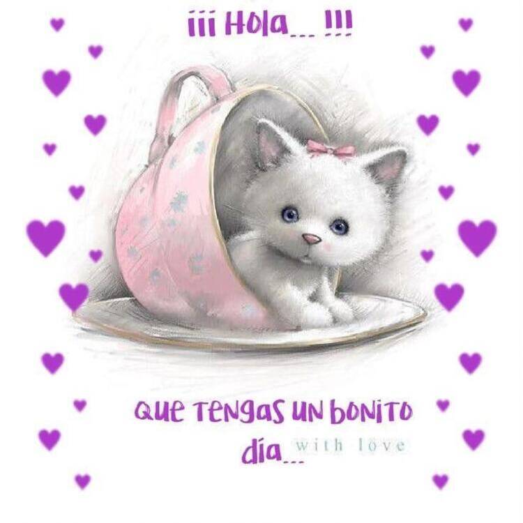 Foto de perfil de araceli