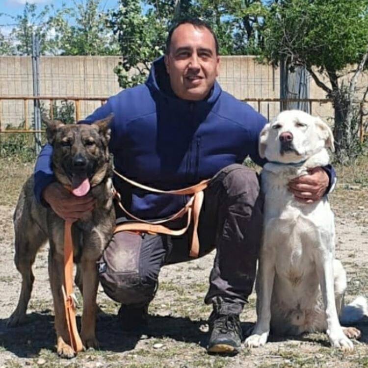Foto de perfil de Alfredo