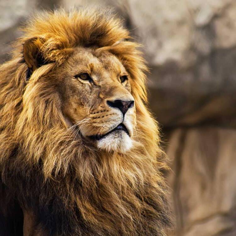 Foto de perfil de Pedrito R