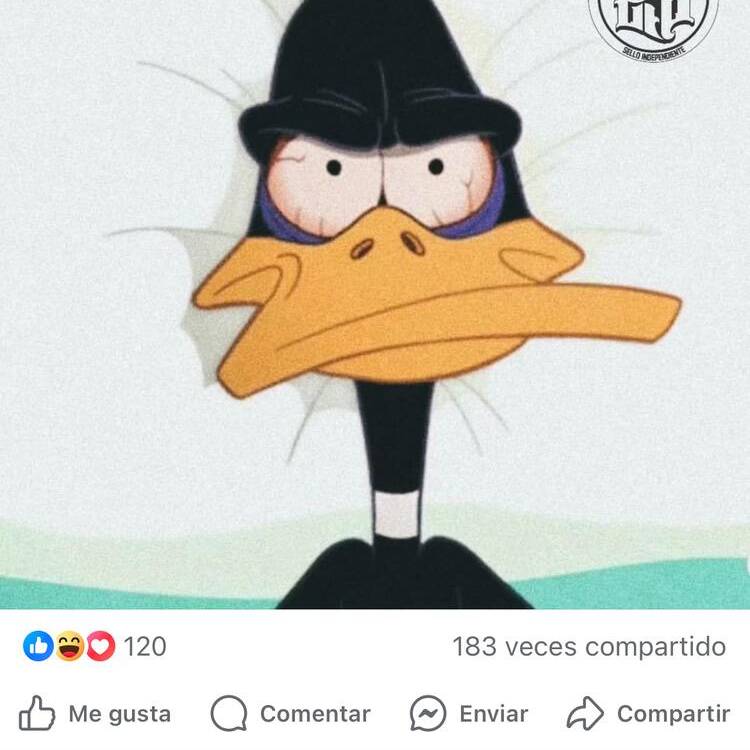 Foto de perfil de Iba