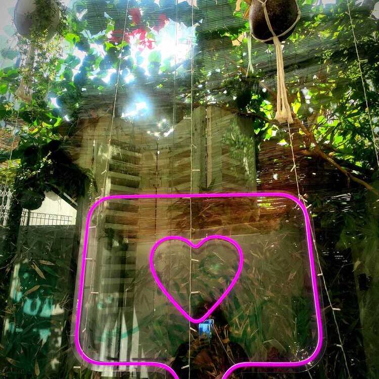 Foto de perfil de marisa