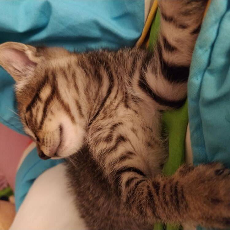 Foto de perfil de Cristina