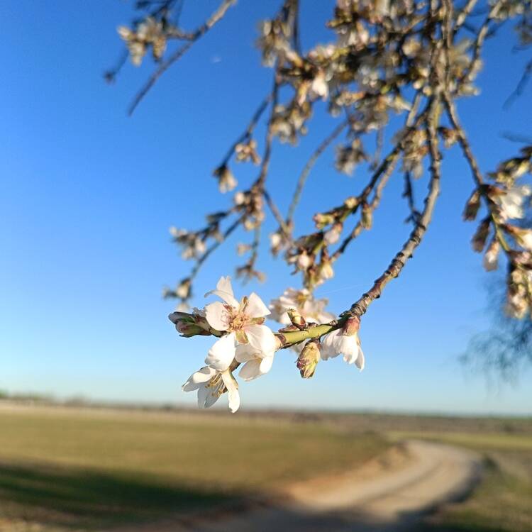 Foto de perfil de Maria