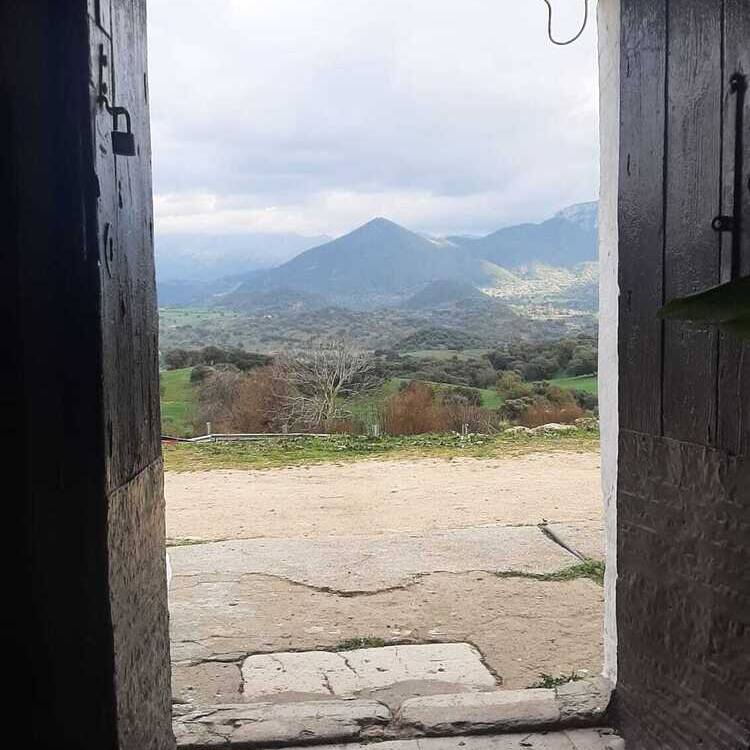 Foto de perfil de ISABEL