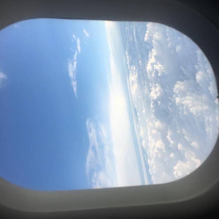 Foto de perfil de amparota