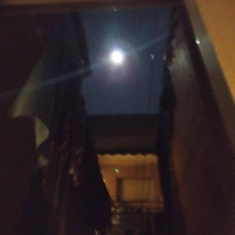 Foto de perfil de Juan