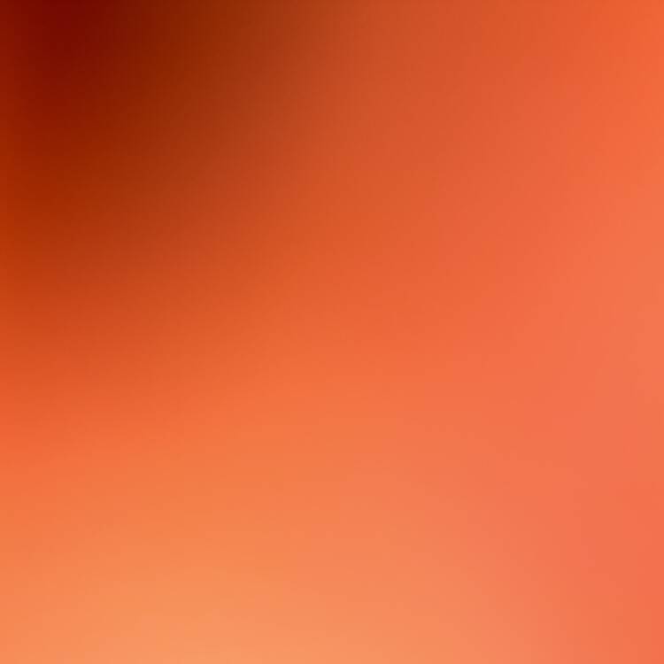 Foto de perfil de Fran