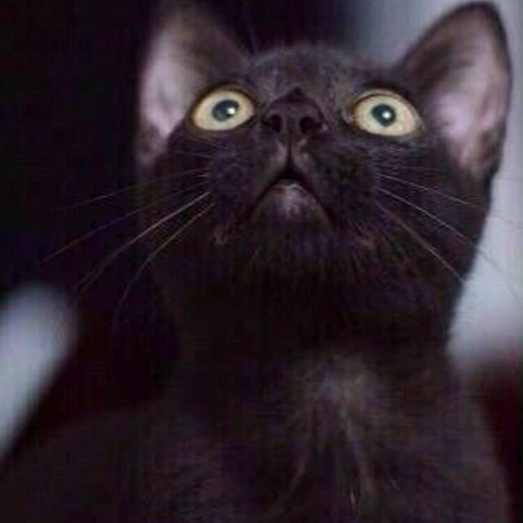 Foto de perfil de Josevi