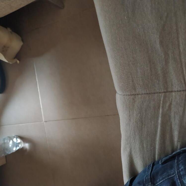 Foto de perfil de Guillermo