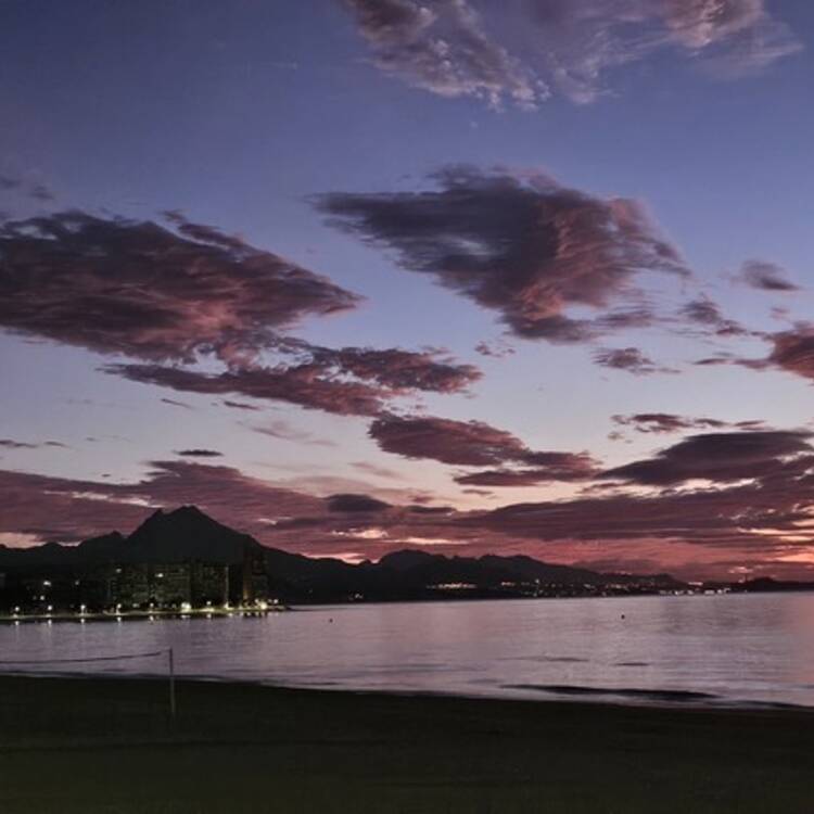 Foto de perfil de MJ