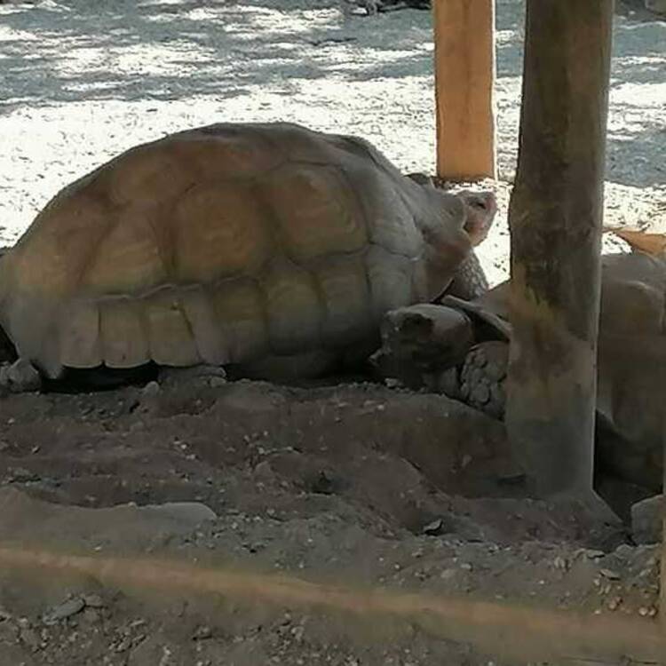 Foto de perfil de carlos