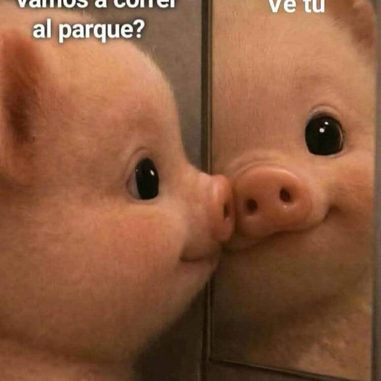 Foto de perfil de Conchi