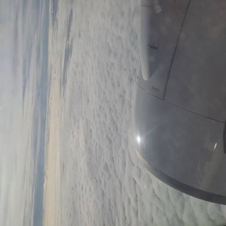 Foto de perfil de Lucia