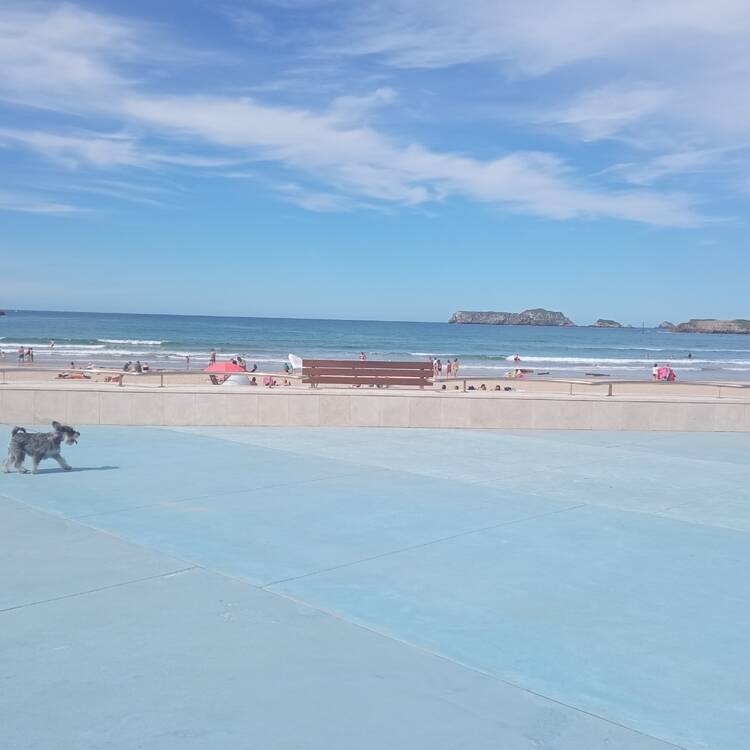 Foto de perfil de Yohana