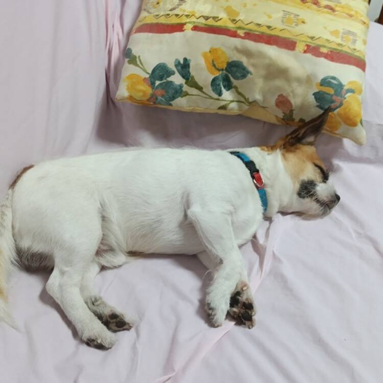 Foto de perfil de Felix Angel