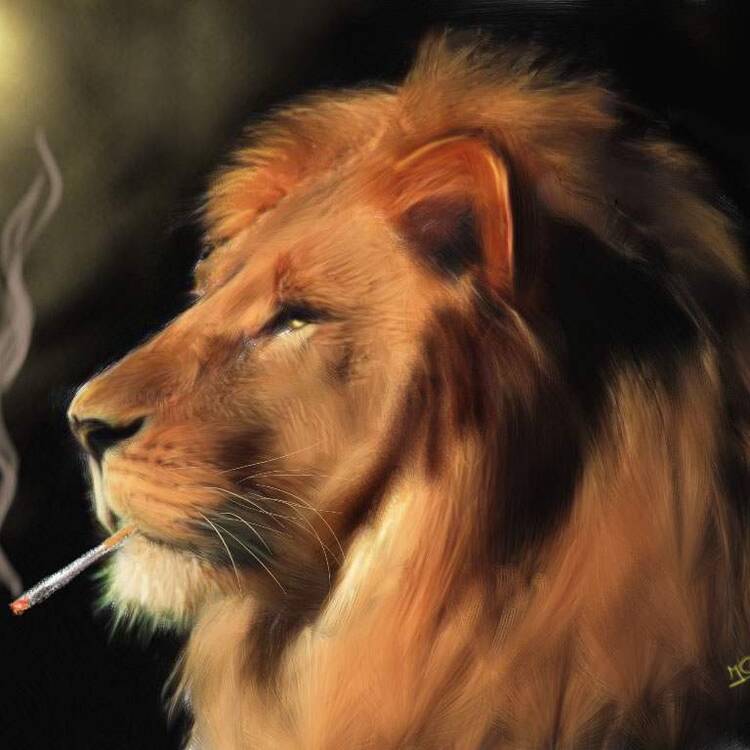 Foto de perfil de carlos