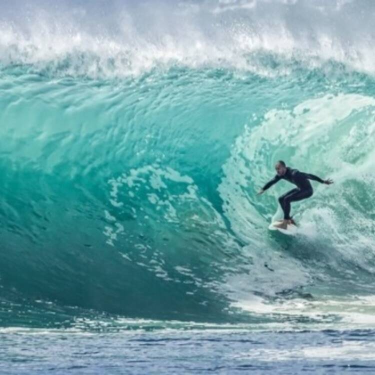 Foto de perfil de david