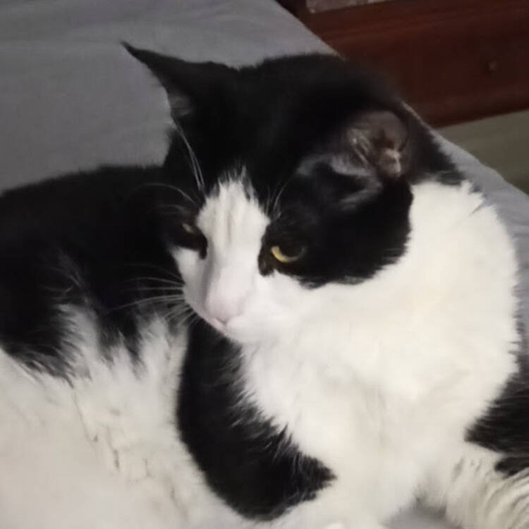 Foto de perfil
