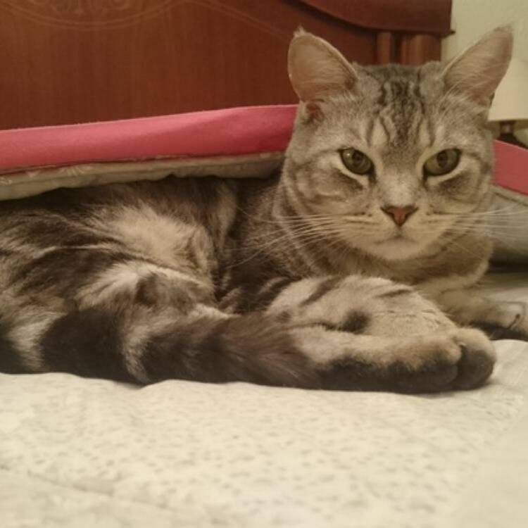 Foto de perfil de Lucia