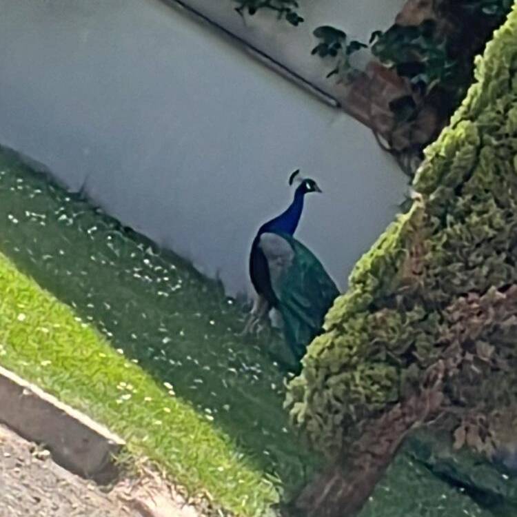 Foto de perfil de mmmm