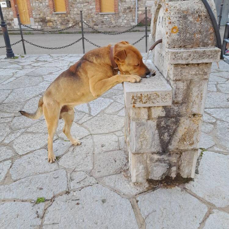 Foto de perfil de Mike