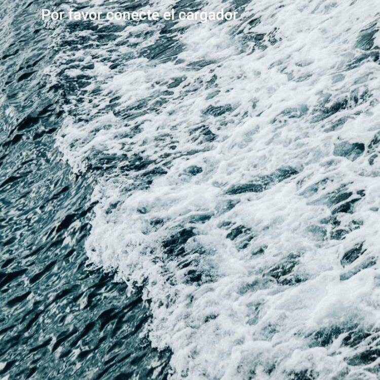 Foto de perfil de Noe